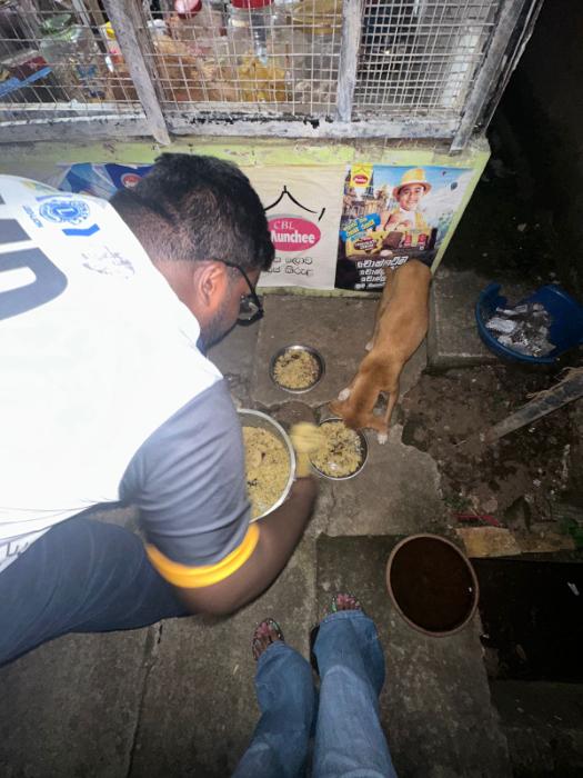 Paws of Care